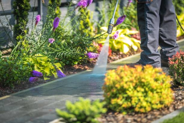 Animal Enclosure Cleaning in Sandwich, IL
